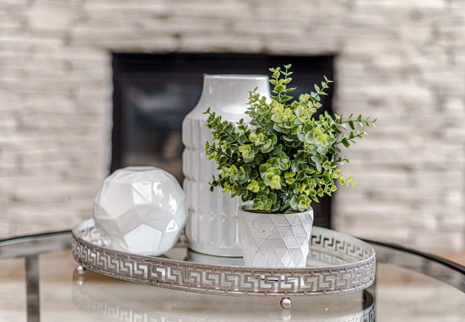 Stylish indoor decorative arrangement featuring a potted plant and geometric white vases on a glass tray.